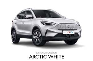 ZSEV2022-ARCTIC WHITE