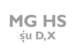 MGHS-DX
